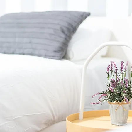 Apartamento New Folch A *
