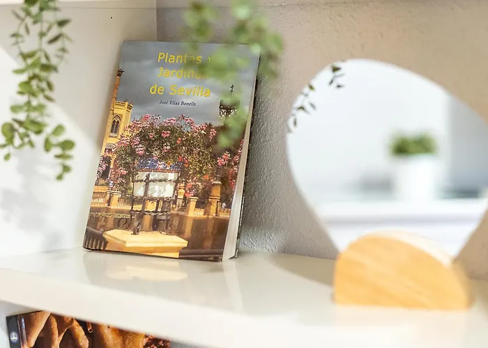 New Folch A * Sevilla