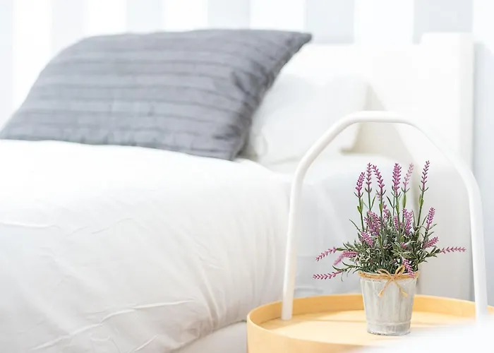 Appartement New Folch A *